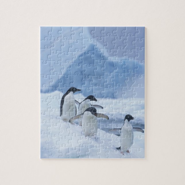 Quebra-cabeça Pinguins-de-adélia (Pygoscelis adeliae) no gelo, (Vertical)