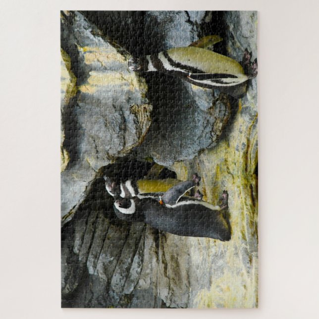 Quebra-cabeça Pinguins-de-humboldt. (Vertical)