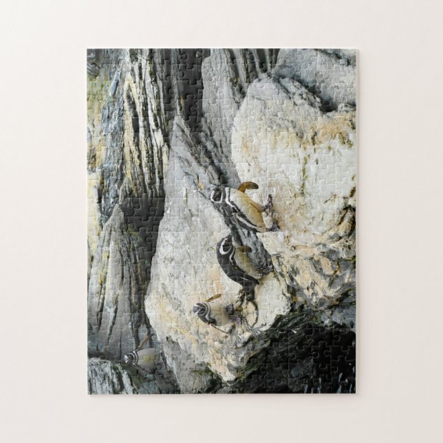 Quebra-cabeça Pinguins Humboldt. (Vertical)