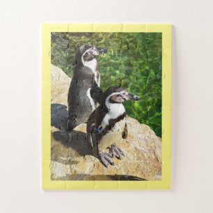 Quebra-cabeça Pinguins Humboldt