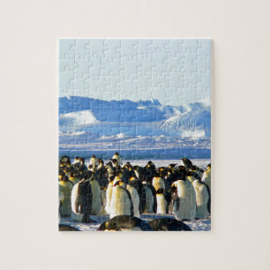 Quebra-cabeça Pinguins imperadores