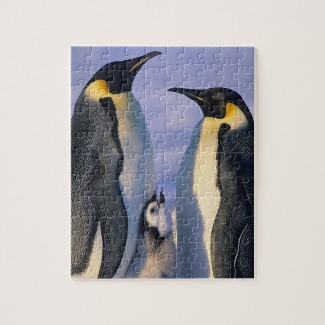 Quebra-cabeça Pinguins-imperadores (Aptenodytes forsteri) Adulto (Vertical)