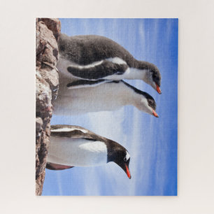 Quebra-cabeça Pinguins na Antártica