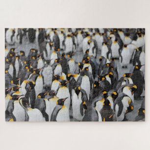 Quebra-cabeça Pinguins no gelo