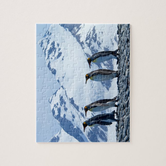 Quebra-cabeça Pinguins-rei na Geórgia do Sul (Vertical)