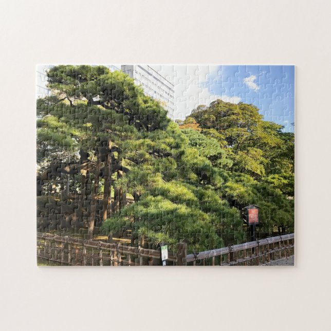 Quebra-cabeça Pinheiros com 300 anos (Horizontal)