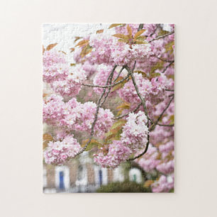 Quebra-cabeça Pink Cherry Blossoms Tree Islington London UK