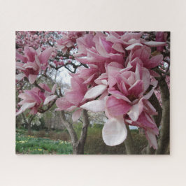 Quebra-cabeça Pink Magnolia