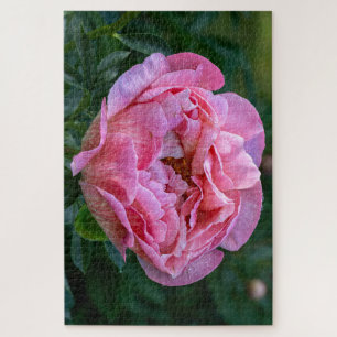 Quebra-cabeça Pink Peony, Foto Floral Canadense