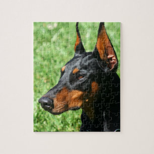 Quebra-cabeça Pinscher do Doberman
