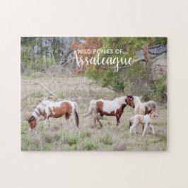 Quebra-cabeça Pinto e Pintar Pôs Selvagens de Assateague