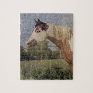 Quebra-cabeça Pinto Horse Grunge