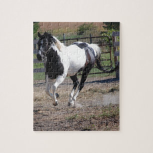 Quebra-cabeça Pinto Paint Horse