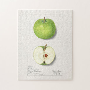Quebra-cabeça Pintura de Fruta de Maçãs Verdes (Malus Domestica)