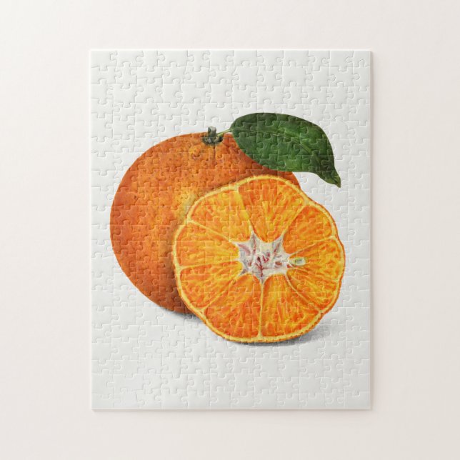 Quebra-cabeça Pintura de Fruta Laranja Deliciosa (Vertical)