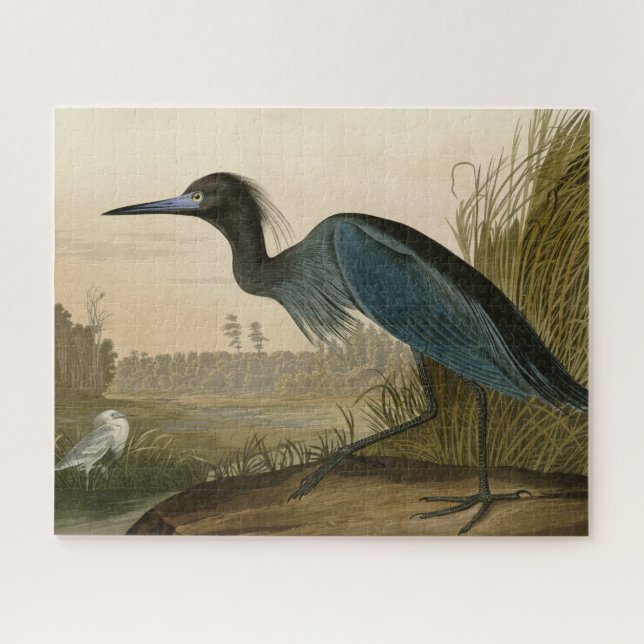 Quebra-cabeça Pintura de Heron Audubon com Crane Azul (Horizontal)