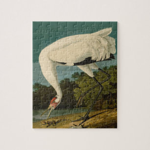 Quebra-cabeça Pintura de pássaros Audubon Crane Whoping