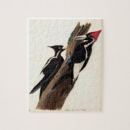 Quebra-cabeça Pintura de Pica-Pau com Cobre-de-Marfim