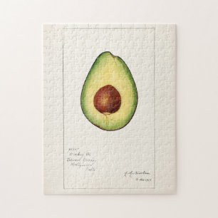 Quebra-cabeça Pintura em aquarela de fruta abacate (Persea)