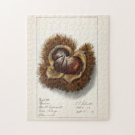 Quebra-cabeça Pintura em aquarela de fruto de castanha (Castanea