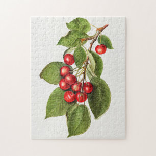 Quebra-cabeça Pintura em serragem de Fruta vermelho delicioso