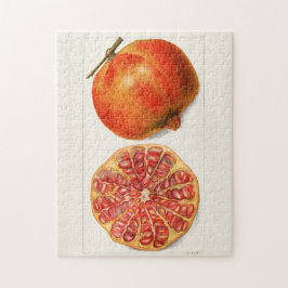 Quebra-cabeça Pintura Fruta de Pomegranatos (Punica Granatum)