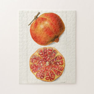 Quebra-cabeça Pintura Fruta de Pomegranatos (Punica Granatum)