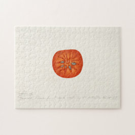 Quebra-cabeça Pintura Por Aquarela (Diospyros) Fruta Persimmon