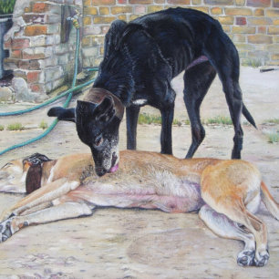 Quebra-cabeça pintura realista de dois cachorros grayhound fofin