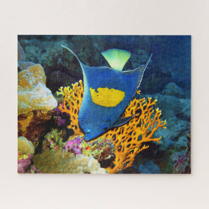 Quebra-cabeça Pinturesco de Angelfish em frente ao coral, Mar Ve