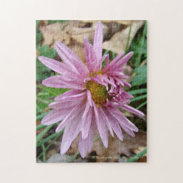 Quebra-cabeça Piscar os olhos cor-de-rosa!