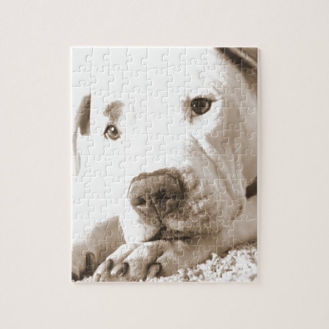 Quebra-cabeça pitbull branco amigável sonolento ódio feito não r (Vertical)