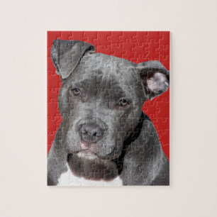 Quebra-cabeça Pitbull preto editável