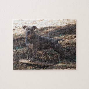 Quebra-cabeça Pitbull with Skateboard Puzzle