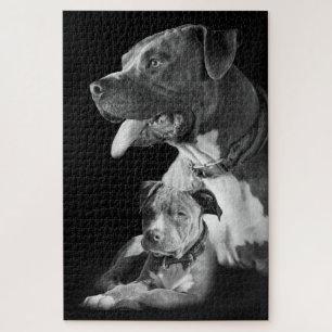 Quebra-cabeça Pitbulls