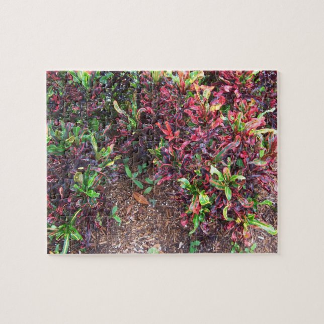 Quebra-cabeça Plantas (Horizontal)