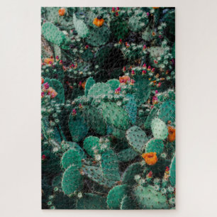 Quebra-cabeça Plantas De Cactus Flores