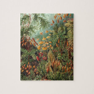 Quebra-cabeça Plantas de Vintage Moss por Ernst Haeckel, Muscina