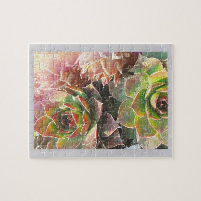 Quebra-cabeça Plantas Pintinhos (Horizontal)