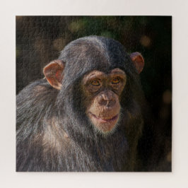 Quebra-cabeça Playful Soul – Baby Chimpanzee Close-Up