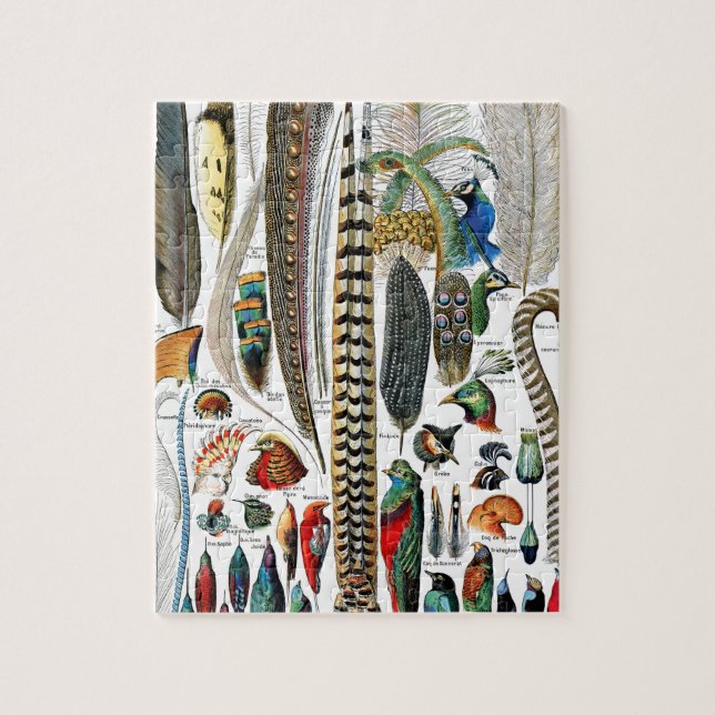 Quebra-cabeça Plumas por Adolphe Millot (Vertical)