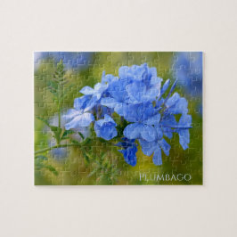 Quebra-cabeça Plumbago - Flores Azuis de Verão Fotografia Floral