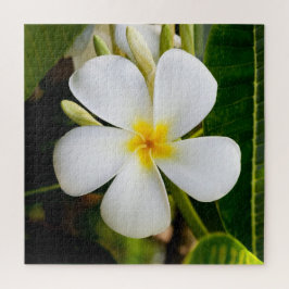 Quebra-cabeça Plumeria Flowera com Folhas