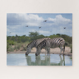 Quebra-cabeça Poço de Água de Zebra