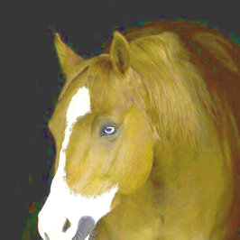 Quebra-cabeça poder-e-graça