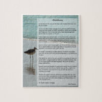 Poema Desiderata - Seagull na cena da praia