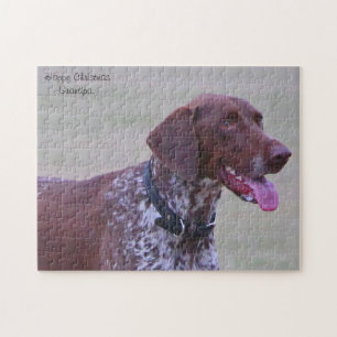 Quebra-cabeça Pointer Dog.