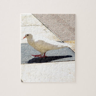 Quebra-cabeça Pomba