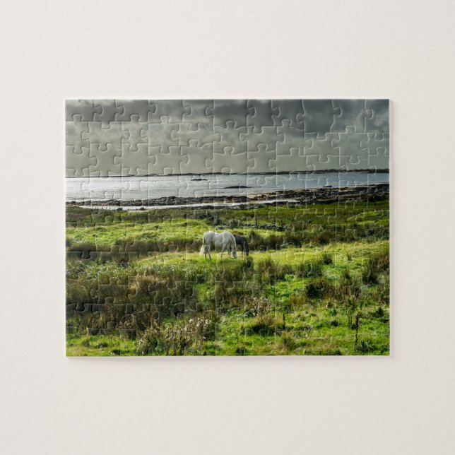 Quebra-cabeça Pôneis Connemara Galway Irlanda. (Horizontal)