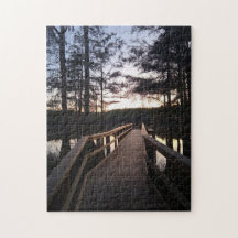 Ponte do Crepúsculo na Floresta de Cipreste
